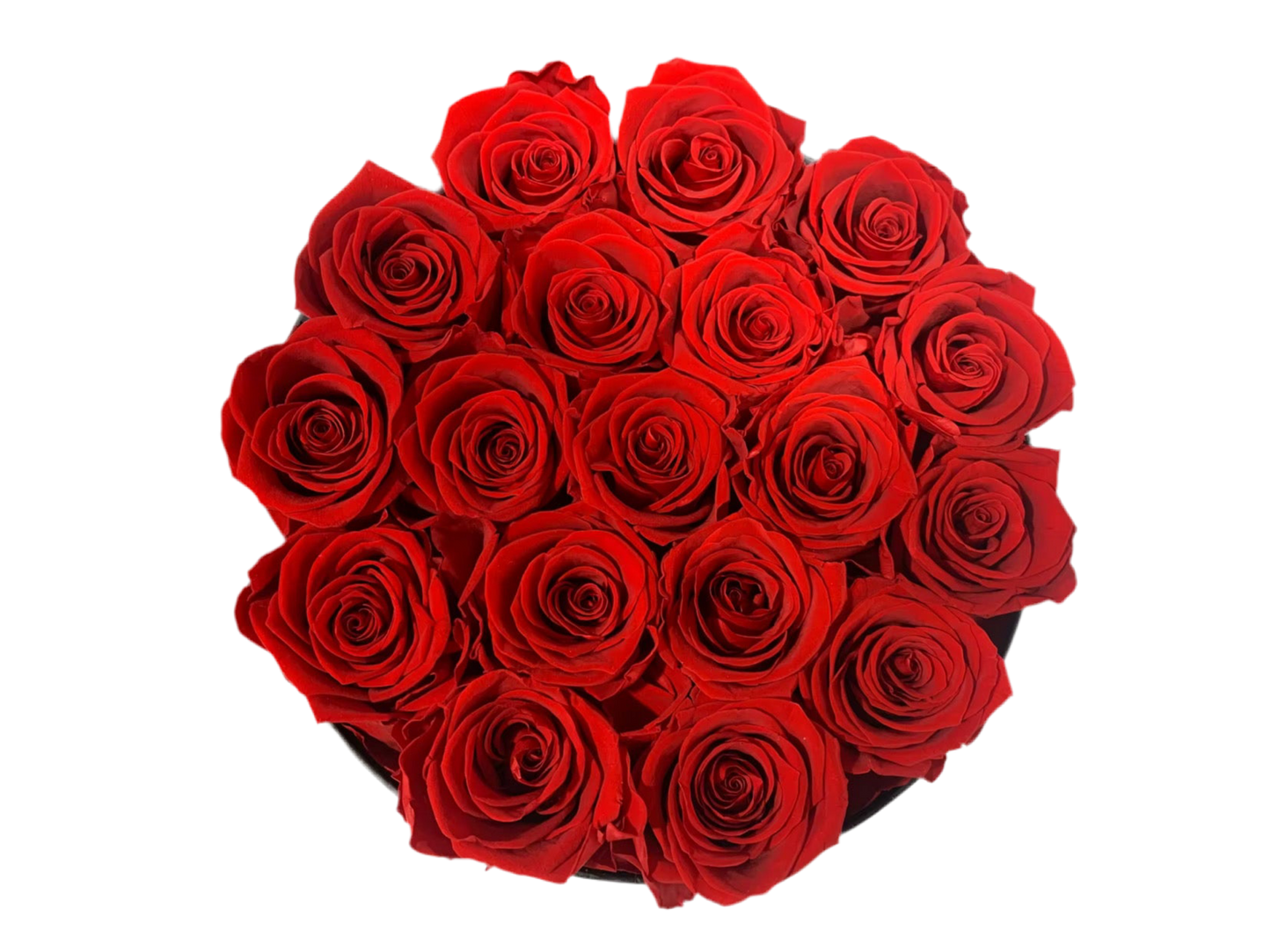 FLORES – 18 Eternal Roses (Black)