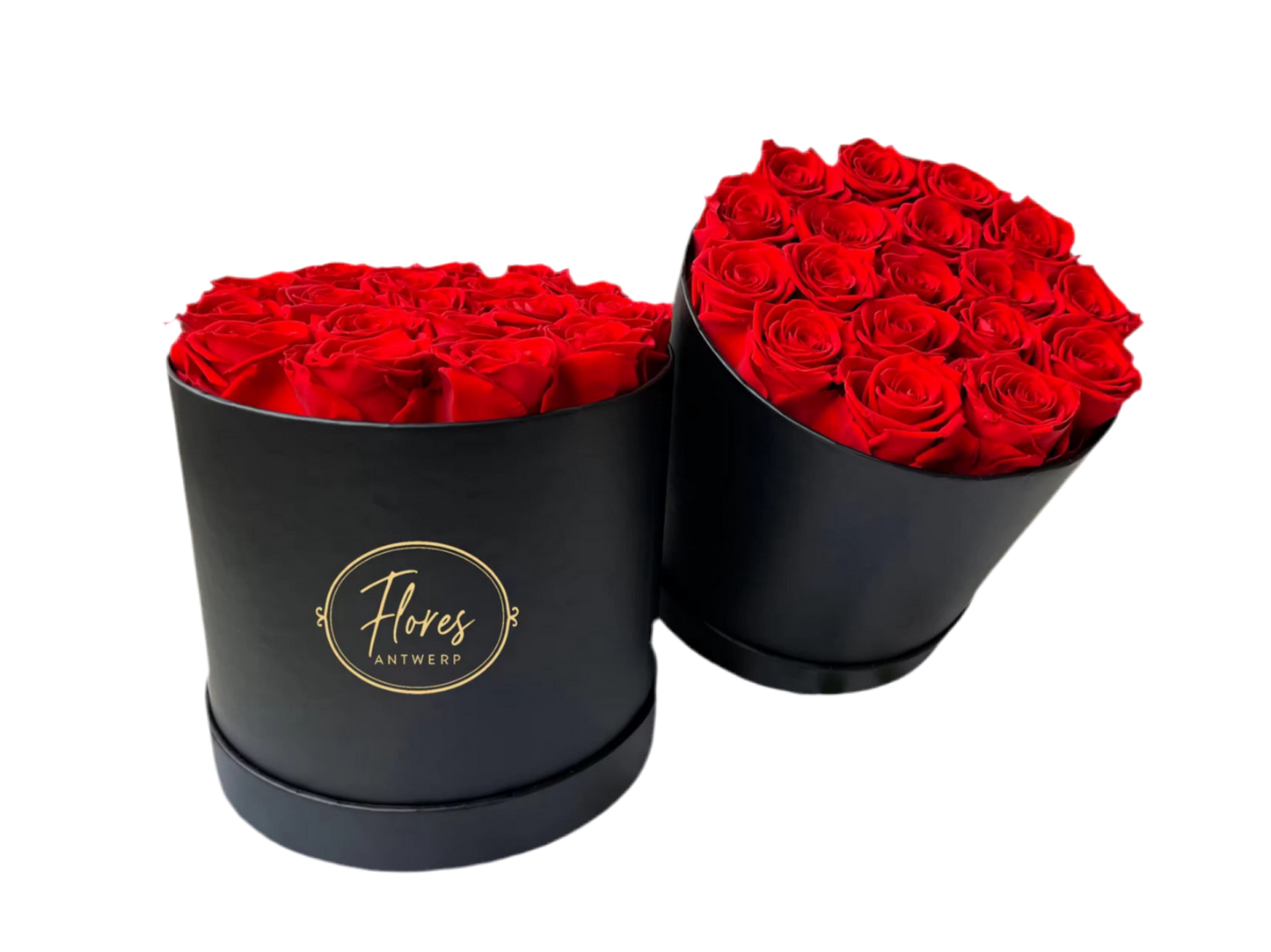 FLORES – 18 Eternal Roses (Black)