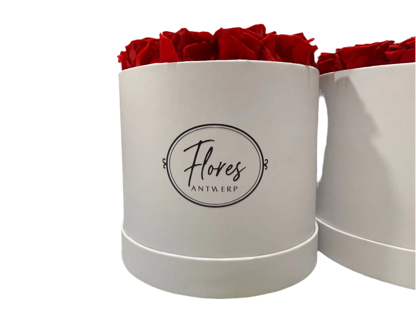 FLORES – 18 Eternal Roses (Black)