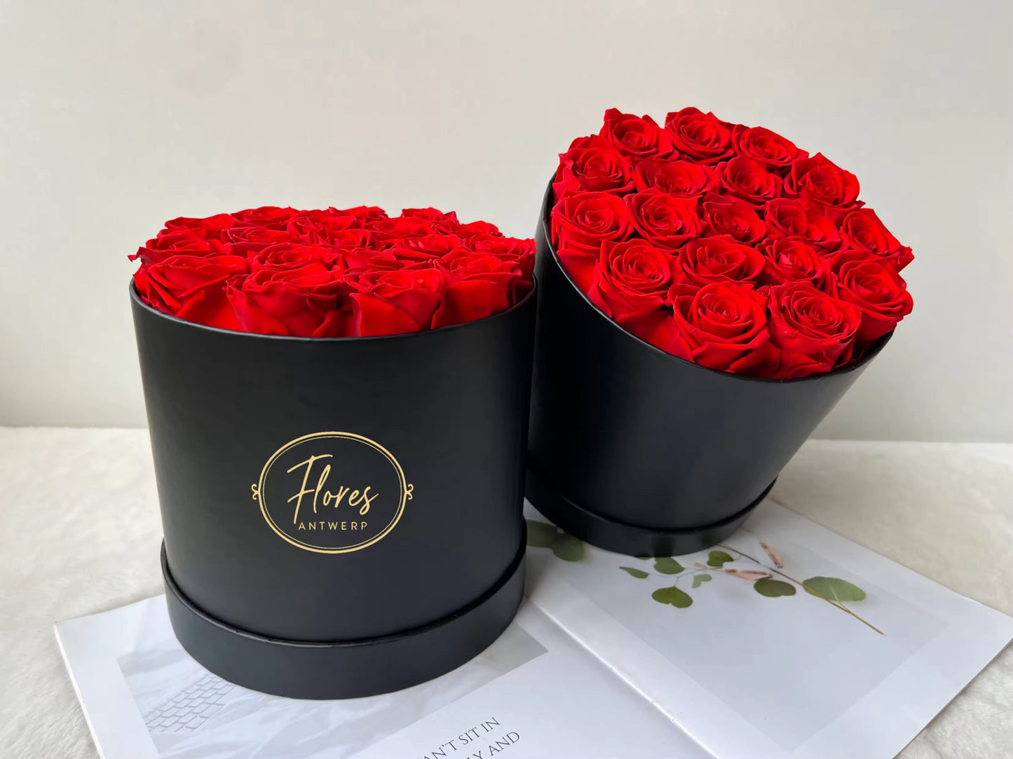 FLORES – 18 Eternal Roses (White)
