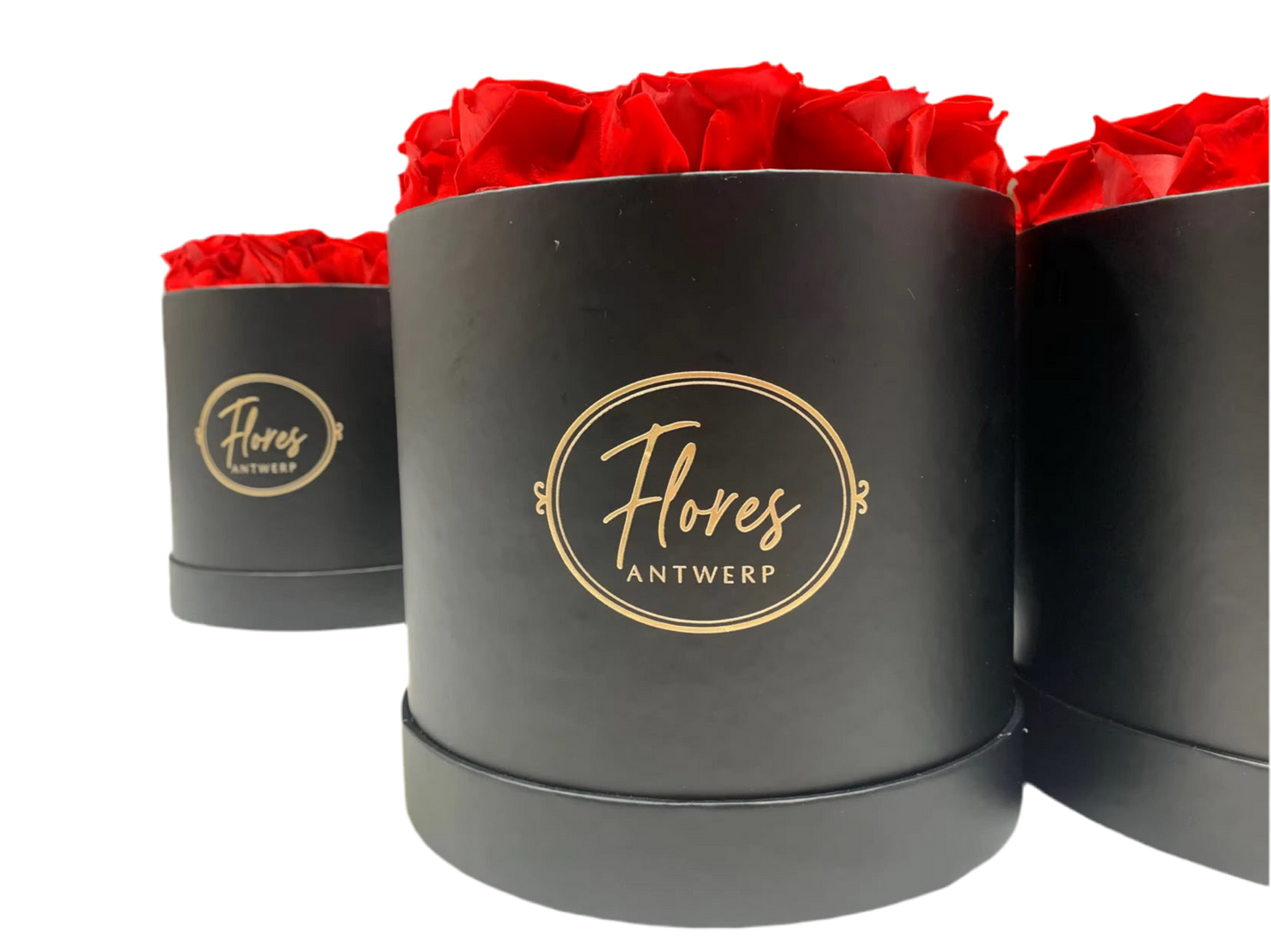 FLORES – 18 Eternal Roses (Black)