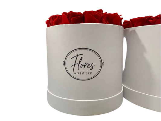 FLORES – 18 Eternal Roses (White)