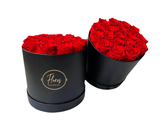 FLORES – 18 Eternal Roses (Black)