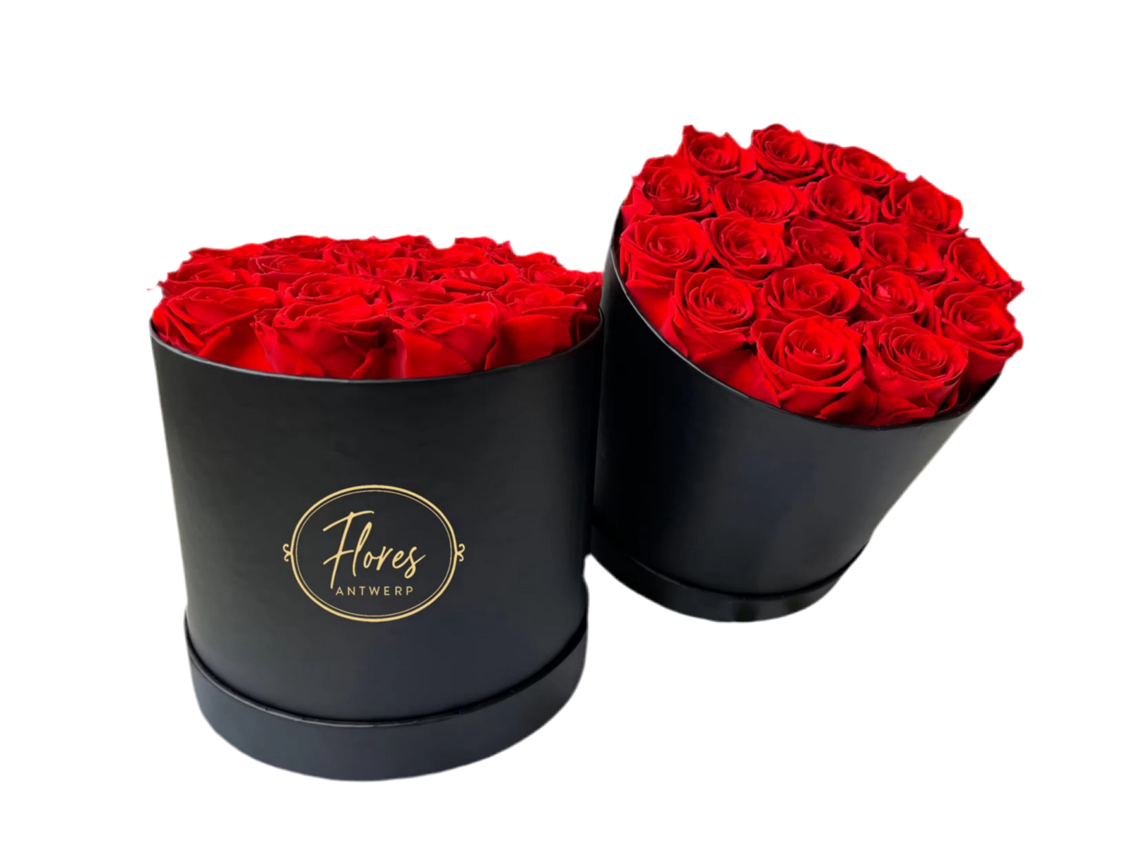 FLORES – 18 Eternal red roses