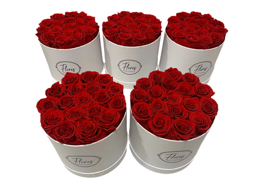 FLORES – 18 Eternal Roses (White)