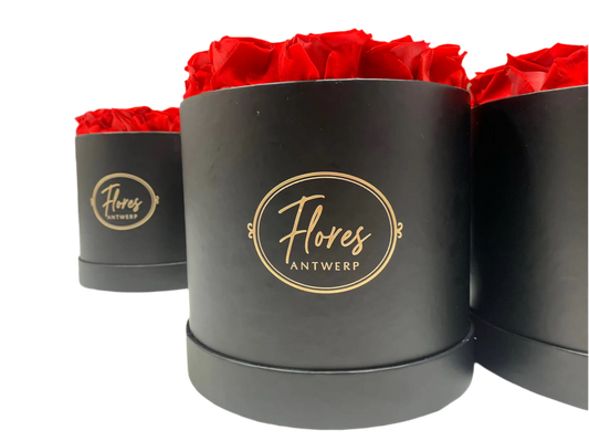 FLORES – 18 Eternal Roses (Black)